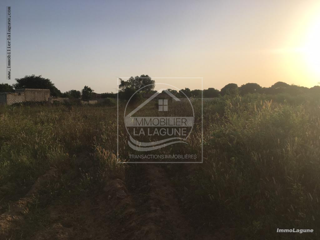 Agence Immobilière Saly Sénégal - T2341 - Terrain à N'DIOROKH - T2341 terrain a vendre a diorokh senegal