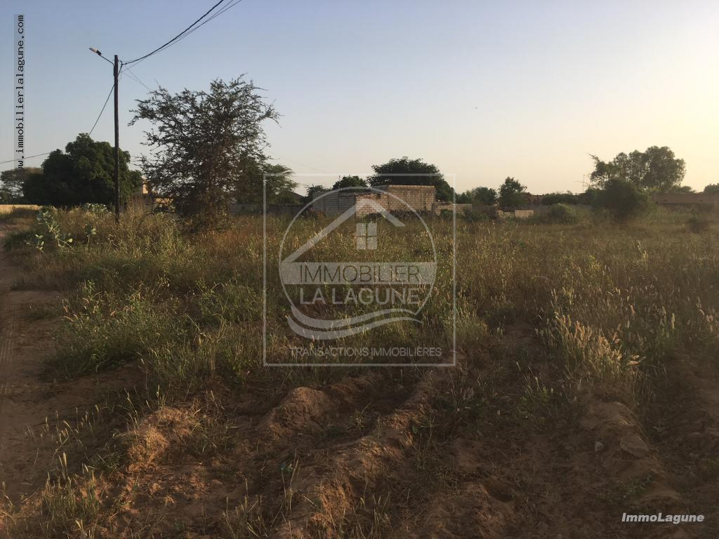 Agence Immobilière Saly Sénégal - T2341 - Terrain à N'DIOROKH - T2341 terrain a vendre a diorokh senegal