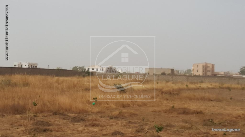 Agence Immobilière Saly Sénégal - T2459 - Terrain à NGUERIGNE - T2459-terrain-a-vendre-nguerigne-senegal