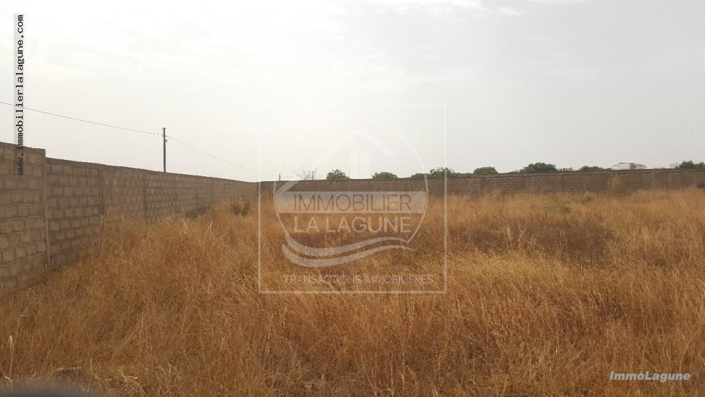Agence Immobilière Saly Sénégal - T2460 - Terrain à NGUERIGNE - T2460-terrain-a-vendre-nguerigne-senegal