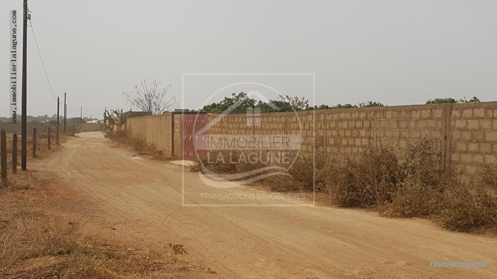 Agence Immobilière Saly Sénégal - T2460 - Terrain à NGUERIGNE - T2460-terrain-a-vendre-nguerigne-senegal