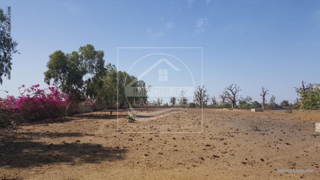 Agence Immobilière Saly Sénégal - T2490 - Terrain à SINDIA - T2490 Terrain en vente à Sindia