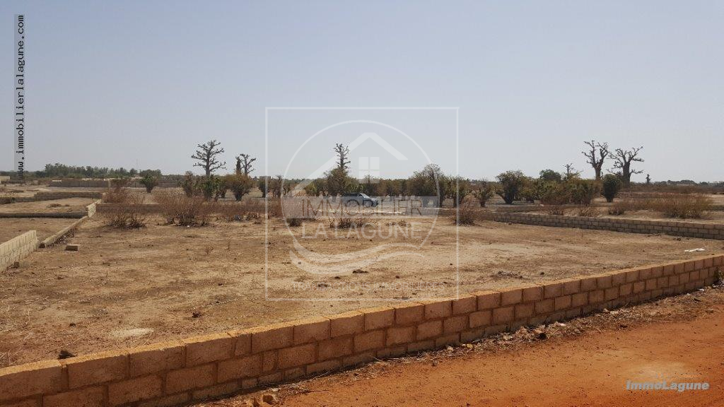 Agence Immobilière Saly Sénégal - T2511 - Terrain à GANDIGAL - T2511-terrain-a-vendre-a-keur yougar-senegal