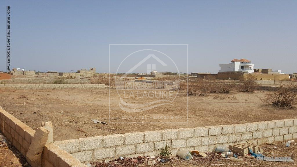 Agence Immobilière Saly Sénégal - T2511 - Terrain à GANDIGAL - T2511-terrain-a-vendre-a-keur yougar-senegal