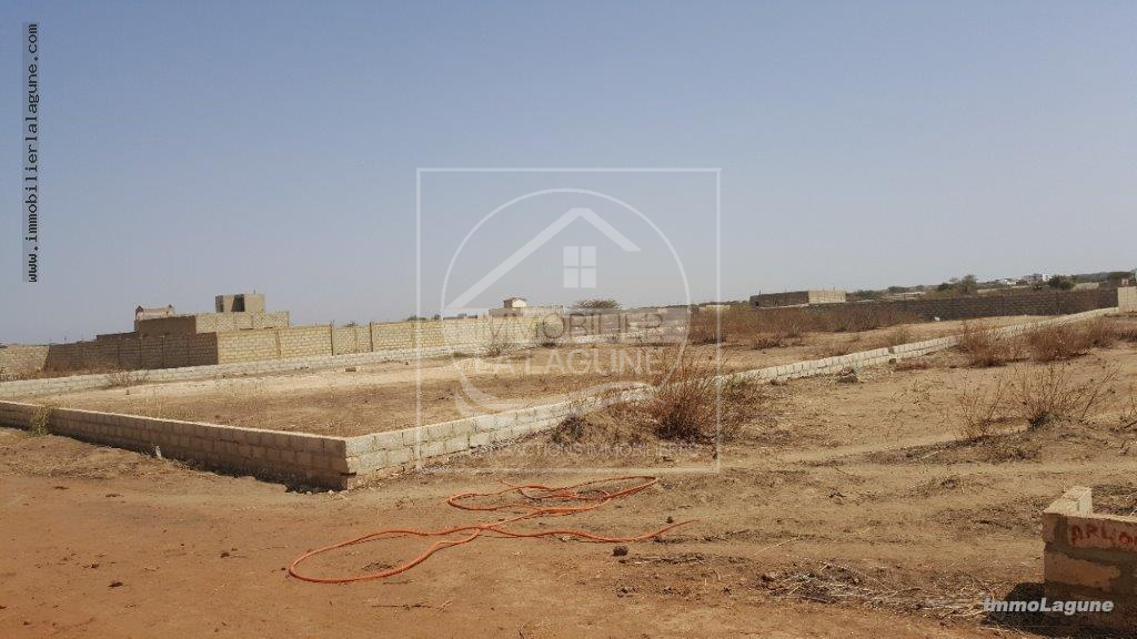 Agence Immobilière Saly Sénégal - T2513 - Terrain à GANDIGAL - T2413-terrain-a-vendre-a-gandigal-senegal
