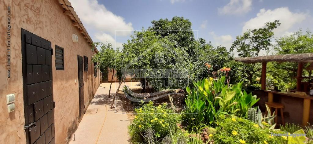 Agence Immobilière Saly Sénégal - V2534 - Villa à SALY - 