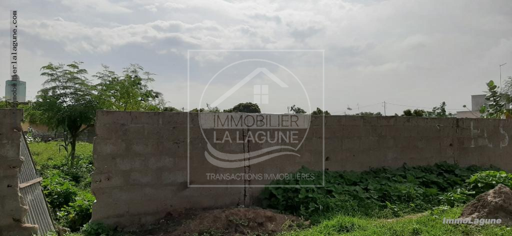 Agence Immobilière Saly Sénégal - T2538 - Terrain à NGUEKHOKH - V2538-terrain-en-vente-a-nguekhor-senegal