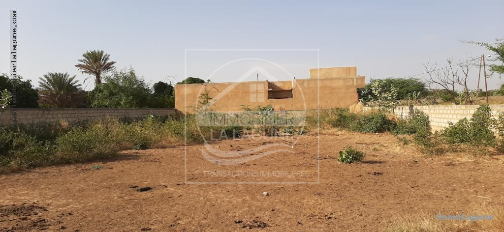 Agence Immobilière Saly Sénégal - T2572 - Terrain à SOMONE - T2572-terrain-en-vente-a-somone-senegal