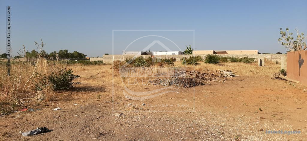 Agence Immobilière Saly Sénégal - T2579 - Terrain à N'DIOROKH - T2579 Terrain a vendre à Ndiorokh