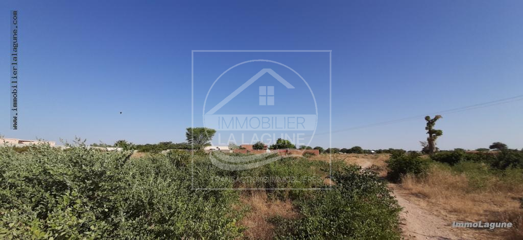 Agence Immobilière Saly Sénégal - T2579 - Terrain à N'DIOROKH - T2579  Terrain à vendre à Ndiorokh