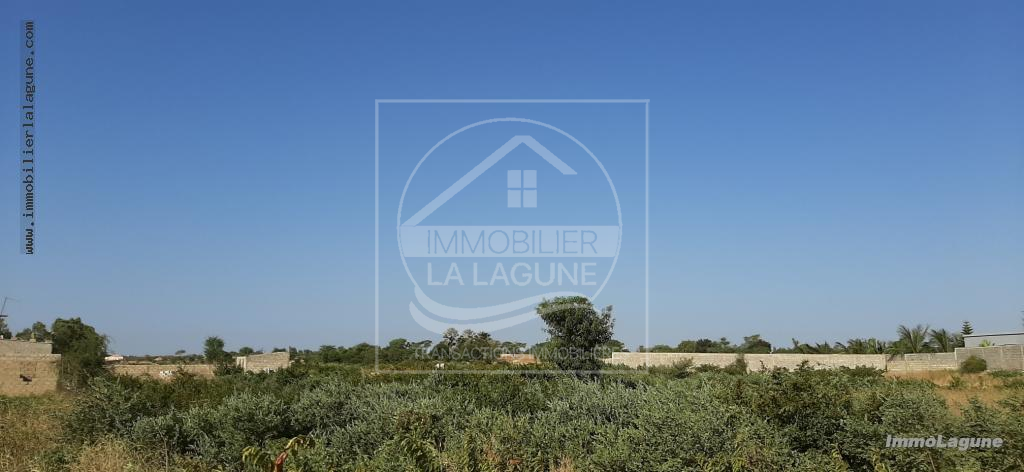 Agence Immobilière Saly Sénégal - T2579 - Terrain à N'DIOROKH - T2579 Terrain à vendre à Ndiorokh