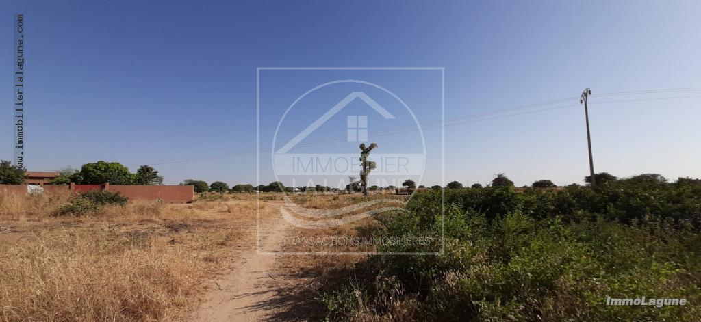 Agence Immobilière Saly Sénégal - T2579 - Terrain à N'DIOROKH - T2579 Terrain à vendre à Ndiorokh