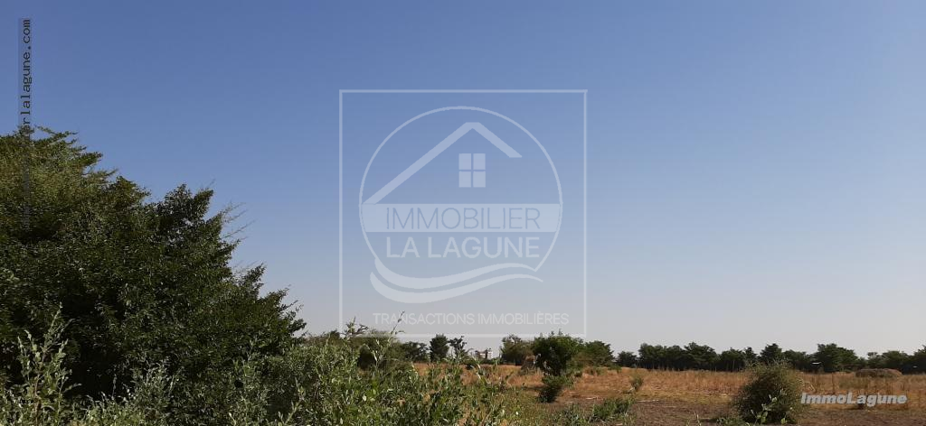 Agence Immobilière Saly Sénégal - T2574 - Terrain à SALY - T2574 Terrain à vendre à Saly