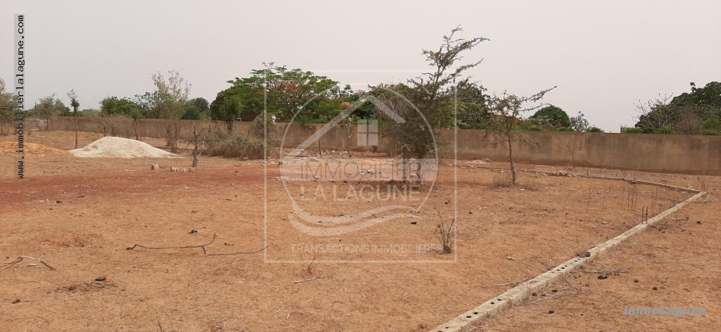 Agence Immobilière Saly Sénégal - T2665 - Terrain à NGUERIGNE - T2665-terrain-en-vente-a-nguerigne-senegal