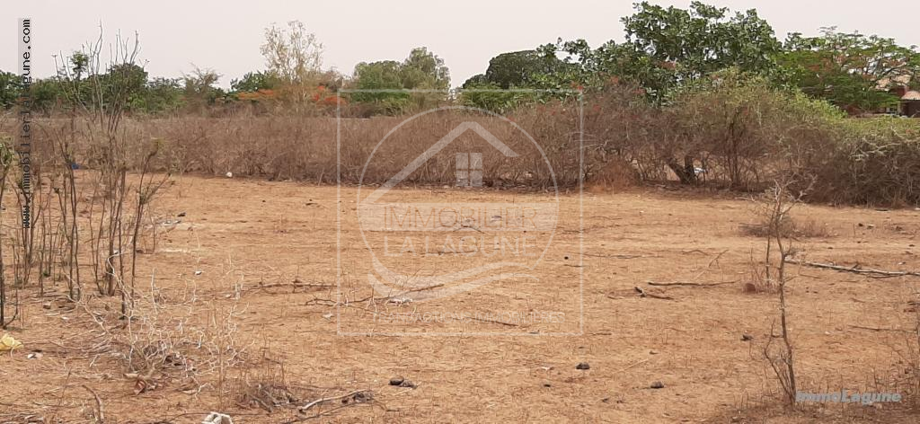 Agence Immobilière Saly Sénégal - T2666 - Terrain à NGUERIGNE - T2666-terrain-en-vente-a-nguerigne-senegal