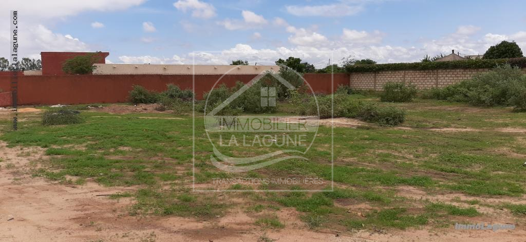 Agence Immobilière Saly Sénégal - T2673 - Terrain à NGAPAROU - T2673-terrain-a-vendre-a-ngaparou-senegal