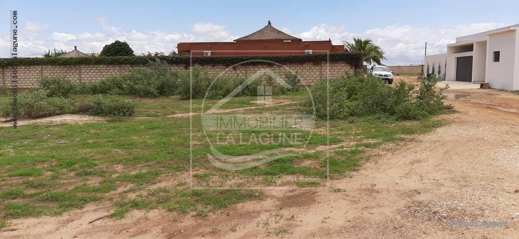 Agence Immobilière Saly Sénégal - T2673 - Terrain à NGAPAROU - T2673-terrain-a-vendre-a-ngaparou-senegal