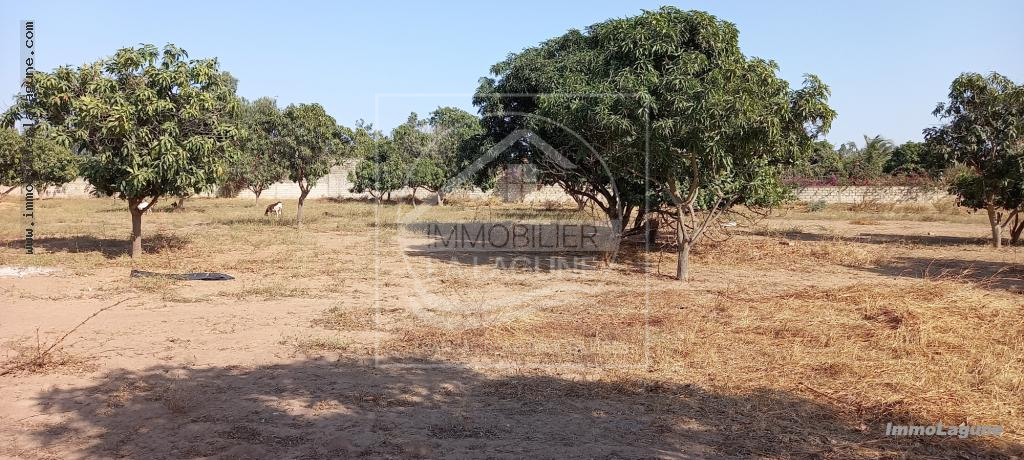 Agence Immobilière Saly Sénégal - T2725 - Terrain à NGAPAROU - T2725-terrain-a-vendre-a-ngaparou-senegal