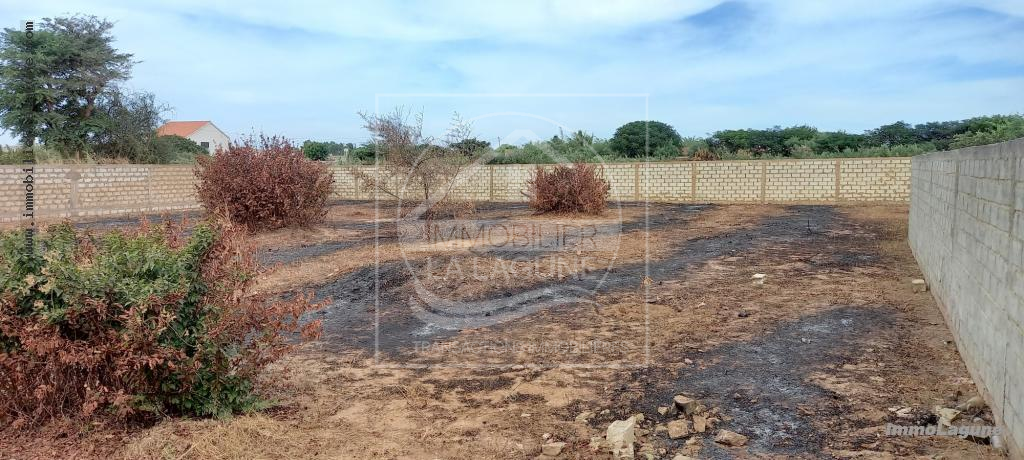Agence Immobilière Saly Sénégal - T2768 - Terrain à N'DIOROKH - T2768-terrain-a-vendre-a-diorokh-senegal