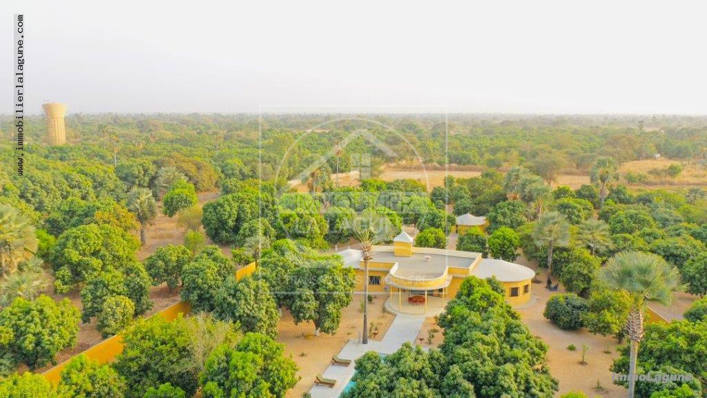 Agence Immobilière Saly Sénégal - V2769 - Villa à FIMELA - V2769-villa-avec-piscine-a-vendre-a-yayeme-fimela-senegal