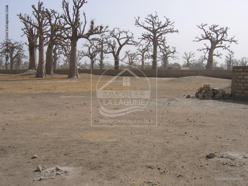 Agence Immobilière Saly Sénégal - T2710 - Terrain à NGUEKHOKH - T2710-terrain-en-vente-a-nguekokh-senegal