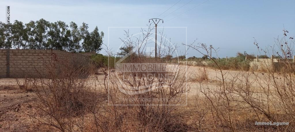 Agence Immobilière Saly Sénégal - T2782 - Terrain à N'DIOROKH - T2782-terrain-a-vendre-a-ndiorokh-senegal