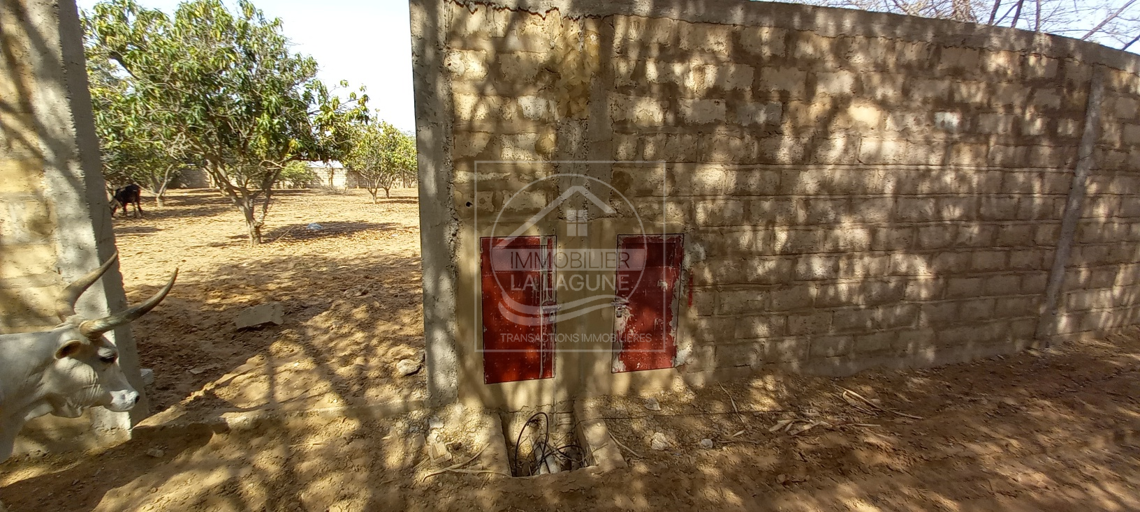 Agence Immobilière Saly Sénégal - T2725 - Terrain à NGAPAROU - 