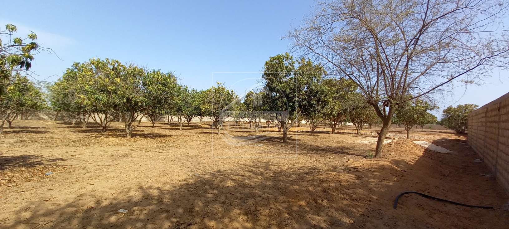 Agence Immobilière Saly Sénégal - T2727 - Terrain à NGAPAROU - 