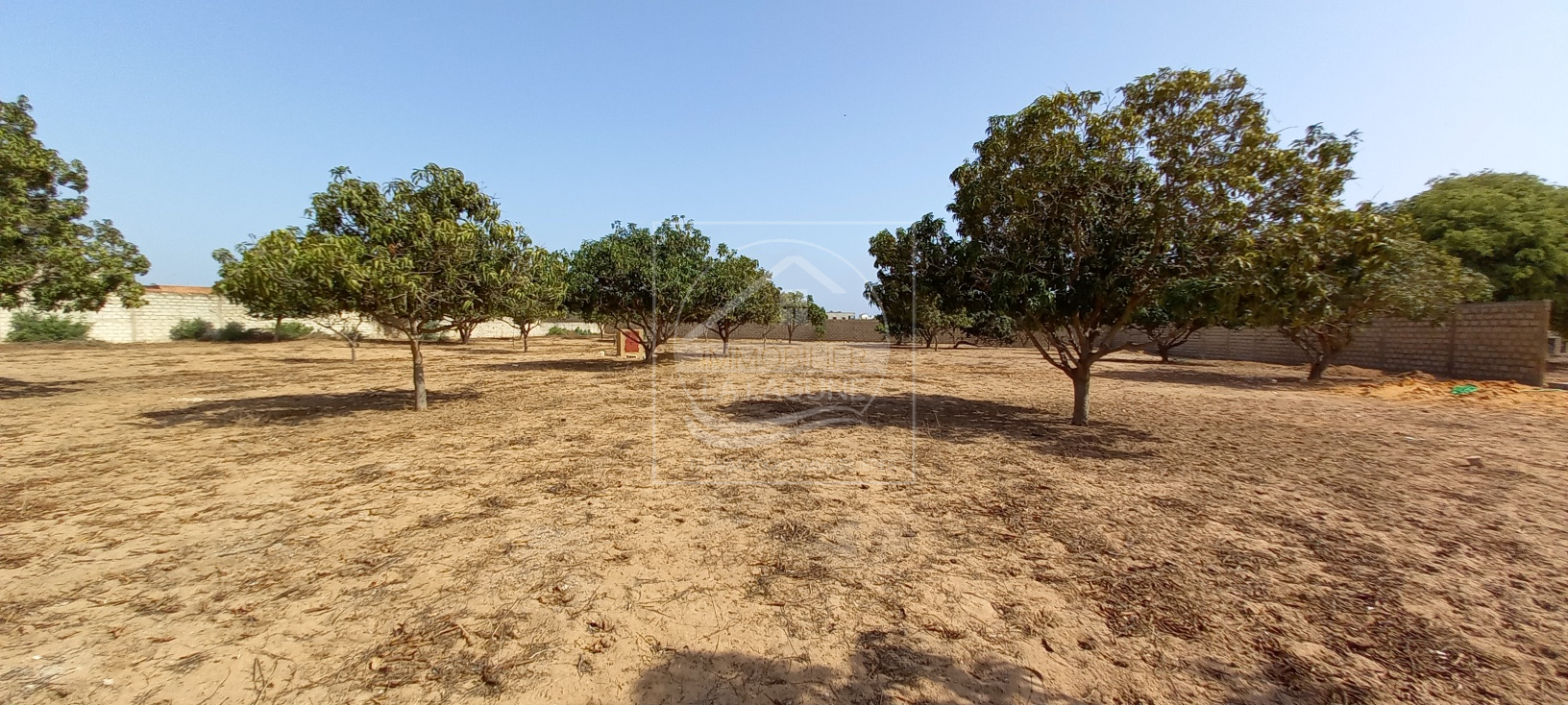 Agence Immobilière Saly Sénégal - T2727 - Terrain à NGAPAROU - 