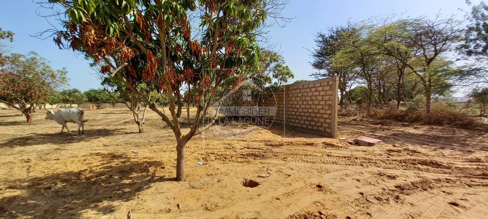 Agence Immobilière Saly Sénégal - T2726 - Terrain à NGAPAROU - 