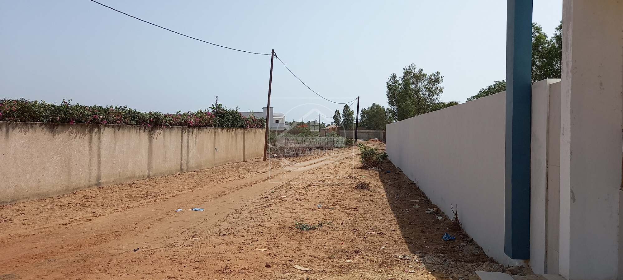 Agence Immobilière Saly Sénégal - T2791 - Terrain à NGAPAROU - T2791-terrain-a-vendre-a-ngaparou-senegal
