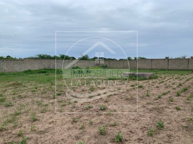 Agence Immobilière Saly Sénégal - T2805 - Terrain à MBALING - T2805 Terrain en vente warang mbaling