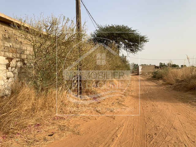 Agence Immobilière Saly Sénégal - T2806 - Terrain à NGUERIGNE - T2806 Terrain à vendre nguerigne senegal