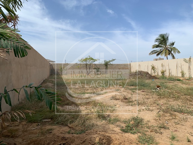 Agence Immobilière Saly Sénégal - T2836 - Terrain à NGAPAROU - T2836 terrain a vendre ngaparou senegal