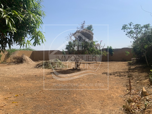 Agence Immobilière Saly Sénégal - T2833 - Terrain à SOMONE - T2833 Terrain a vendre a somone senegal