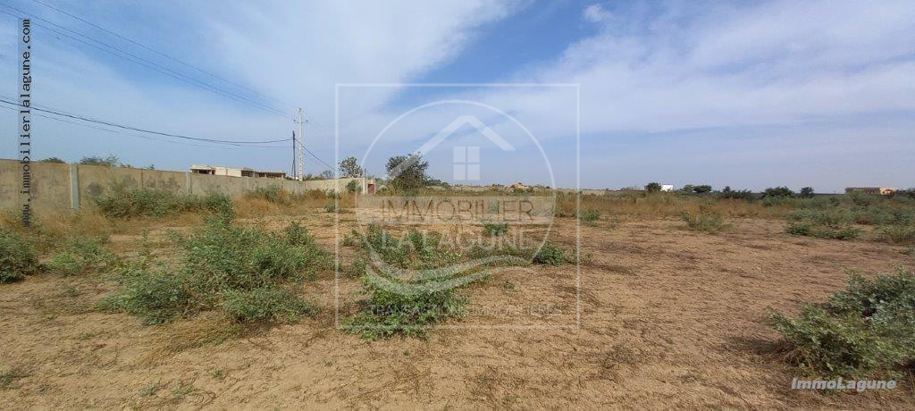 Agence Immobilière Saly Sénégal - T2859 - Terrain à NGUERIGNE - T2859-terrain-a-vendre-a-nguerigne-senegal