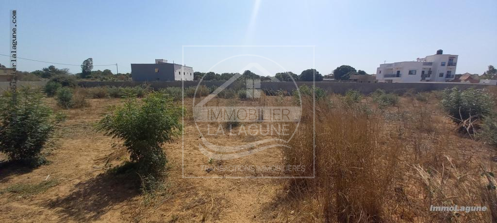 Agence Immobilière Saly Sénégal - T2863 - Terrain à NGUERIGNE - T2863-terrain-a-vendre-a-nguerigne-senegal