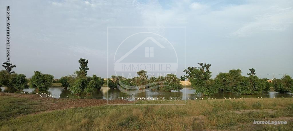Agence Immobilière Saly Sénégal - T2511 - Terrain à GANDIGAL - T2511-terrain-a-vendre-a-mbour