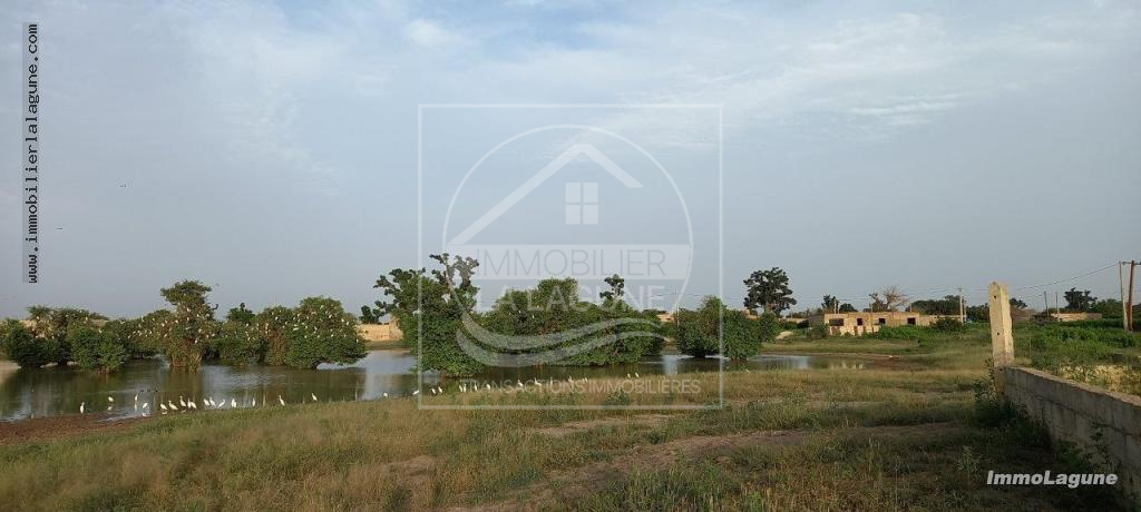 Agence Immobilière Saly Sénégal - T2514 - Terrain à GANDIGAL - T2514-terrain-a-vendre-mbour