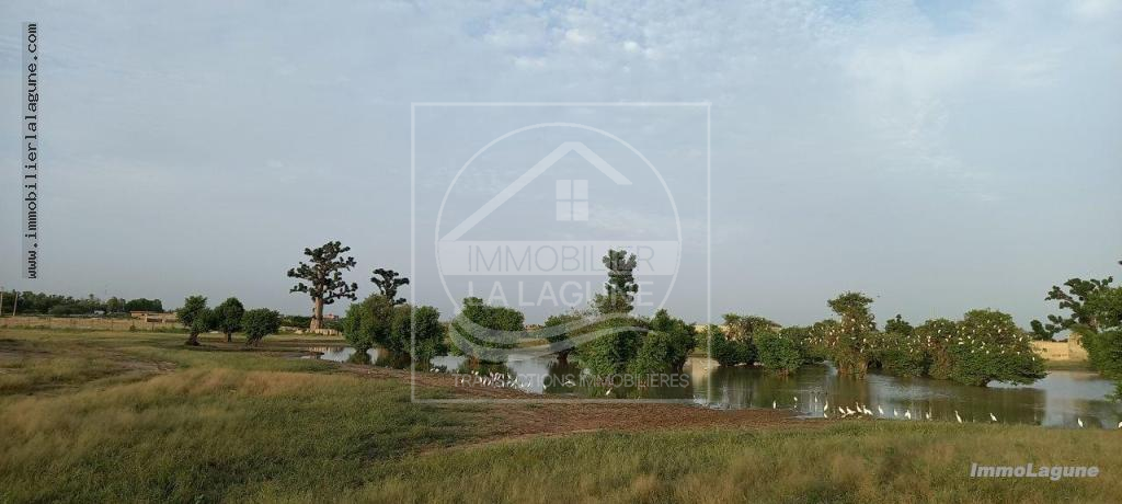 Agence Immobilière Saly Sénégal - T2512 - Terrain à GANDIGAL - T2512-terrain-a-vendre-mbour