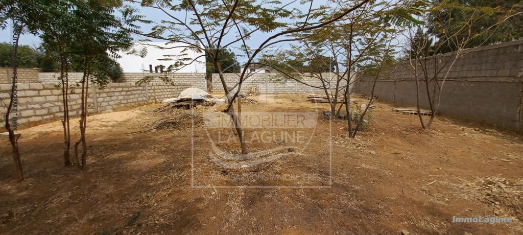 Agence Immobilière Saly Sénégal - T2902 - Terrain à NGAPAROU - 