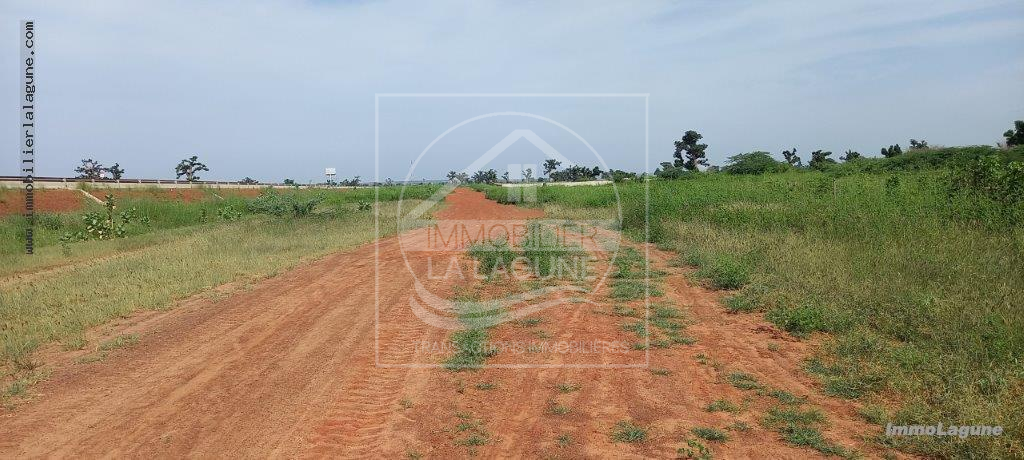 Agence Immobilière Saly Sénégal - T2911 - Terrain à NGUEKHOKH - T2911-terrain-a-vendre-a-nguekokh-senegal