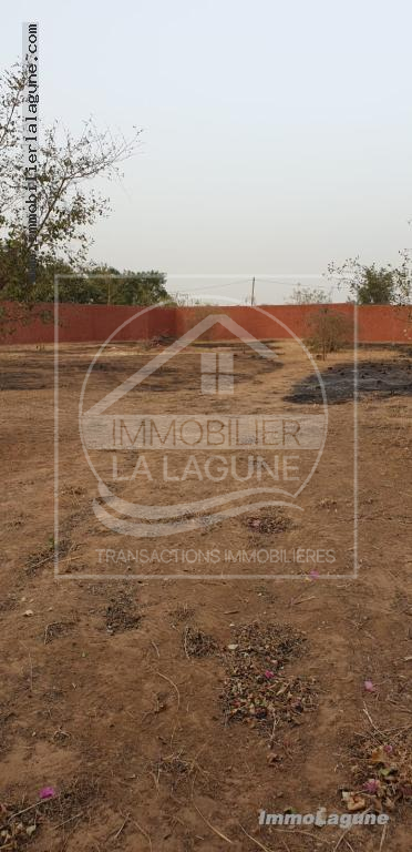 Agence Immobilière Saly Sénégal - T2914 - Terrain à NGUERIGNE - T2914-terrain-a-vendre-a-nguerigne-senegal