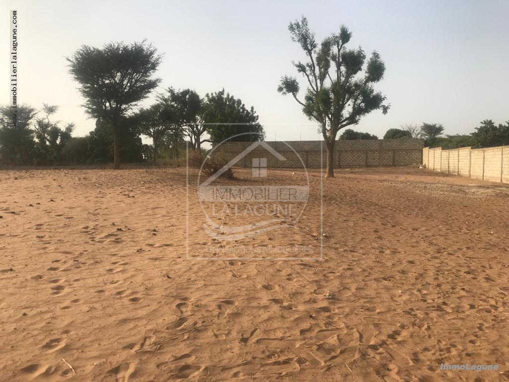 Agence Immobilière Saly Sénégal - T2919 - Terrain à NGUERIGNE - T2919-terrain-en-vente-a-nguerigne-senegal