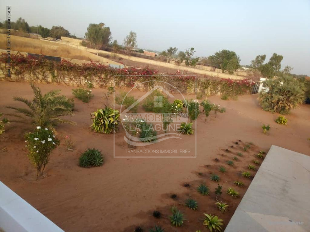 Agence Immobilière Saly Sénégal - V2264 - Villa à NGUERIGNE - V2264 villa à acheter avec piscine à nguerigne senegal