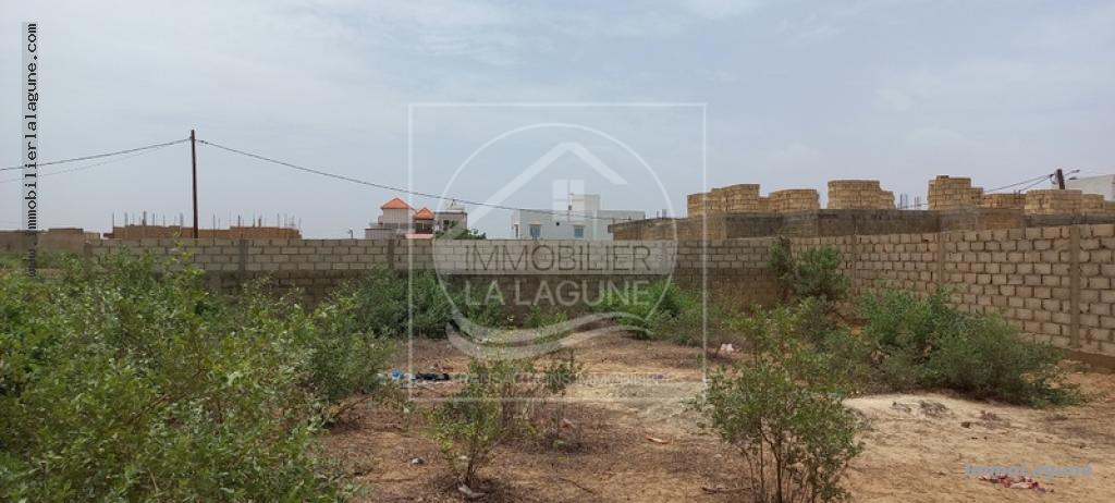 Agence Immobilière Saly Sénégal - T2926 - Terrain à SALY - T2926-terrain-a-vendre-a-saly-senegal