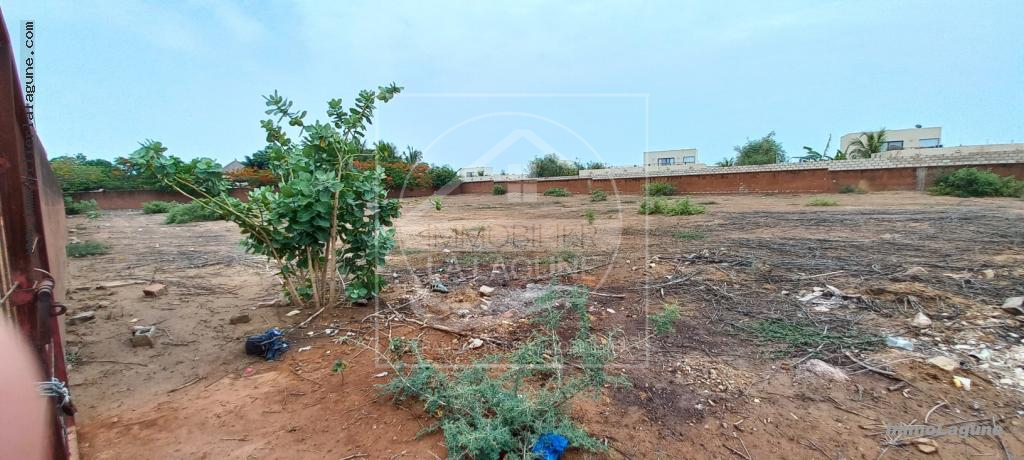 Agence Immobilière Saly Sénégal - T2933 - Terrain à NGUERIGNE - T2933-terrain-a-vendre-a-nguerigne-senegal