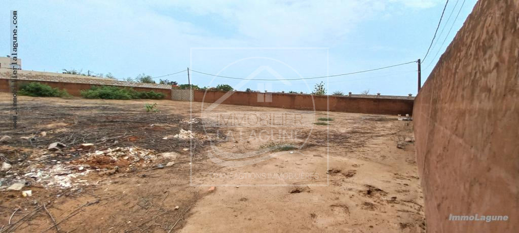 Agence Immobilière Saly Sénégal - T2933 - Terrain à NGUERIGNE - T2933-terrain-a-vendre-a-nguerigne-senegal