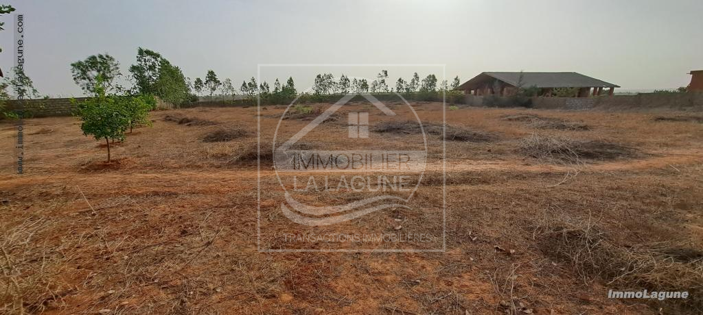 Agence Immobilière Saly Sénégal - T3000 - Terrain à Guéréo - T3000-terrain-a-vendre-a-guereo-senegal