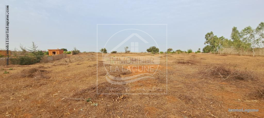 Agence Immobilière Saly Sénégal - T3000 - Terrain à Guéréo - T3000-terrain-a-vendre-a-guereo-senegal